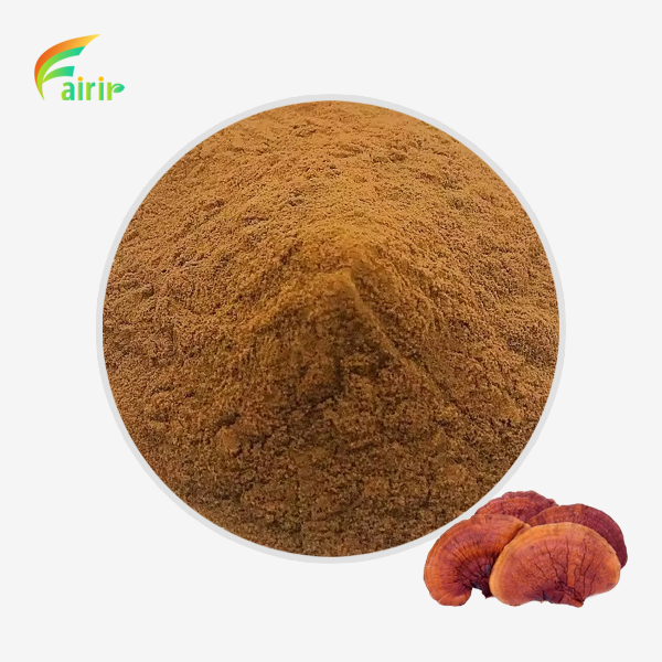 Ganoderma Lucidum Extract Powder